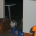 Bild 018