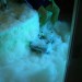 Bild 049